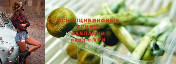 сатива Богданович