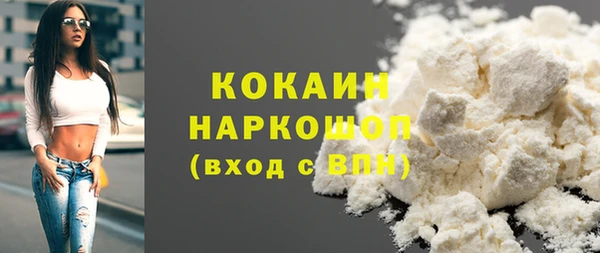 сатива Богданович