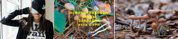 сатива Богданович