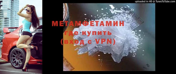 сатива Богданович