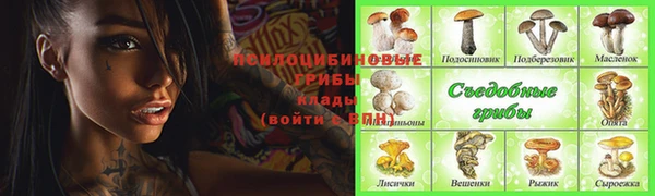 прущие грибы Богородицк