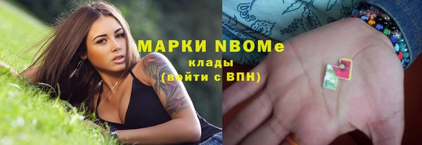 прущие грибы Богородицк