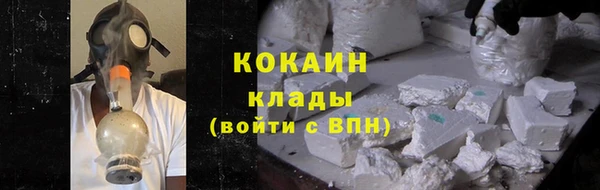 сатива Богданович