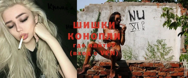 сатива Богданович