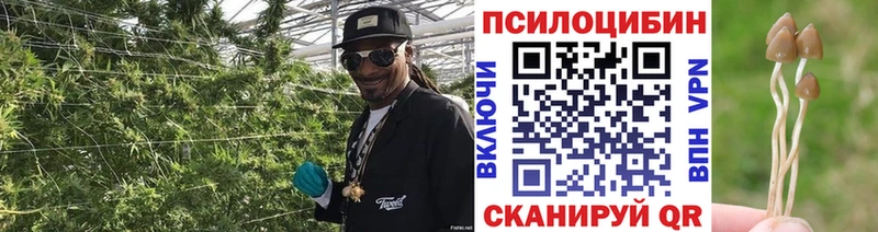 Псилоцибиновые грибы Magic Shrooms  Купить где  Белая Калитва 